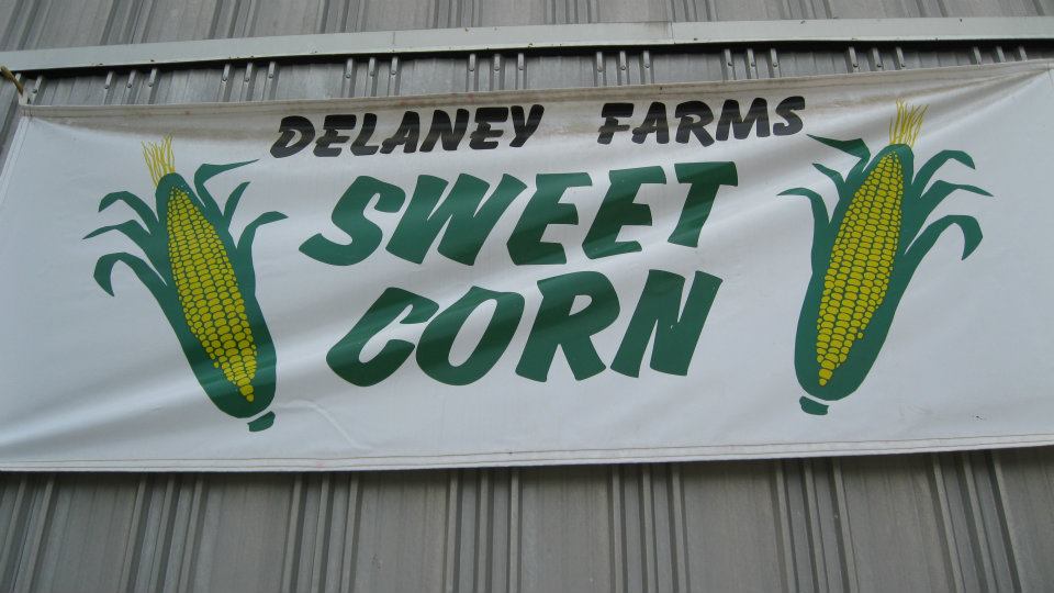 delaney-farms-sweet-corn-syracuse