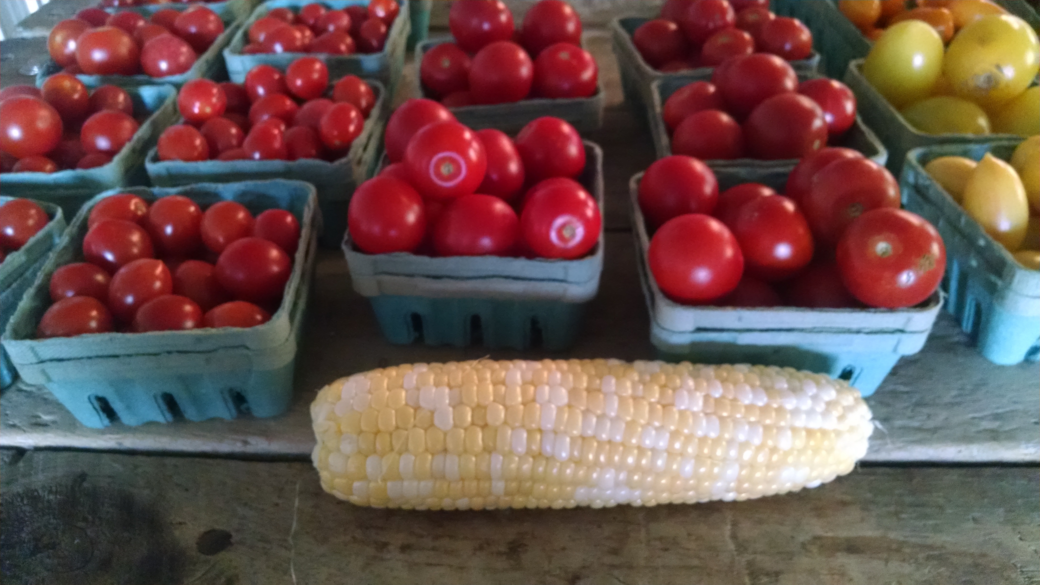 tomatoes-and-corn